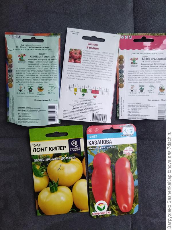 Эти замочены сегодня