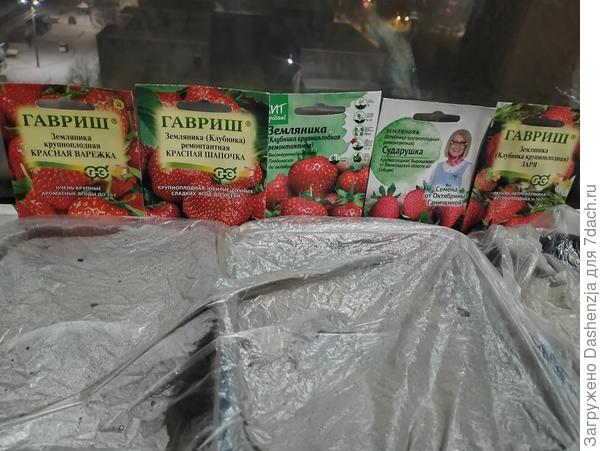 Будущая клубничная грядка)