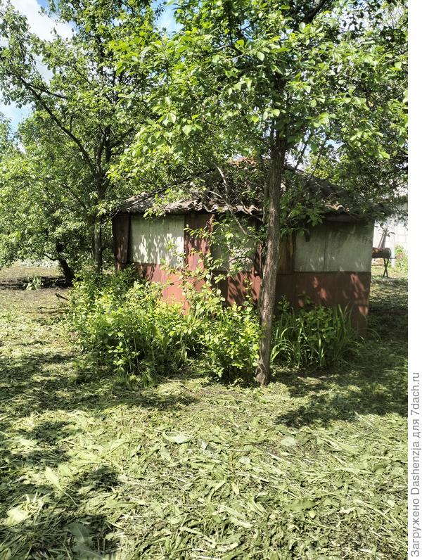 Вот они, хозяйничают