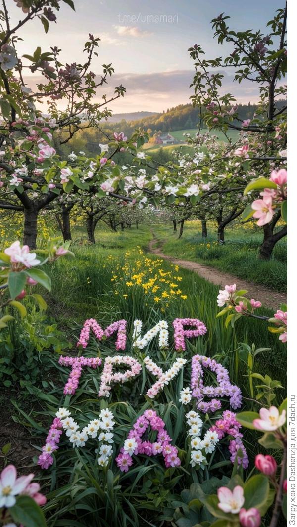 С праздником всех!