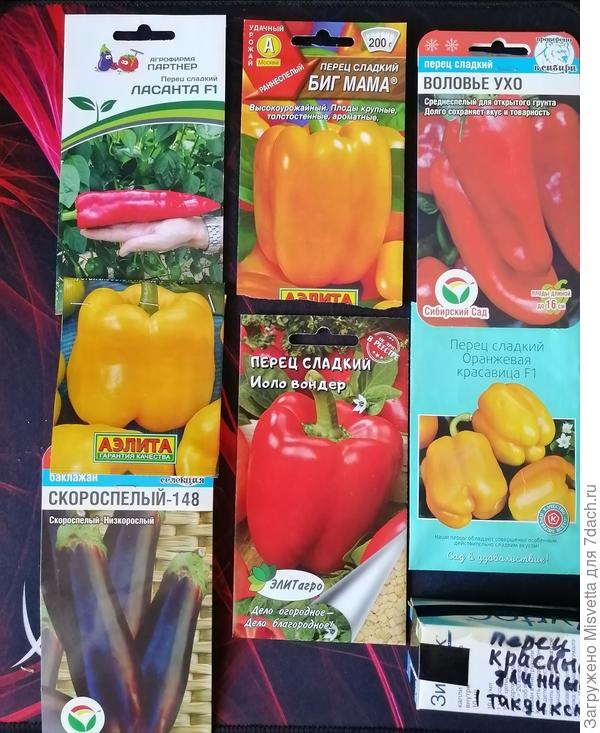 План на 2022 год)