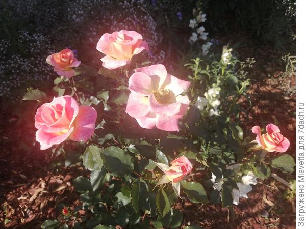 С днём рождения!