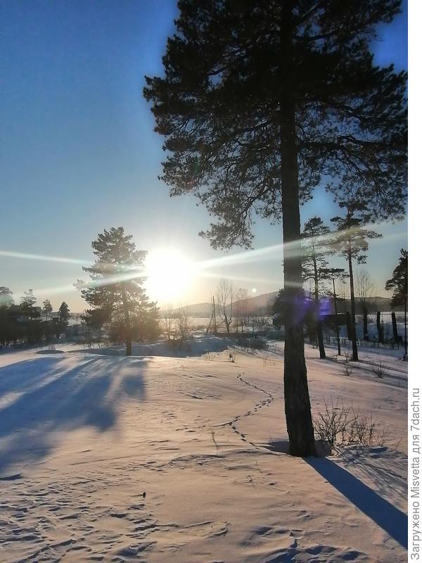 Всё в снегу