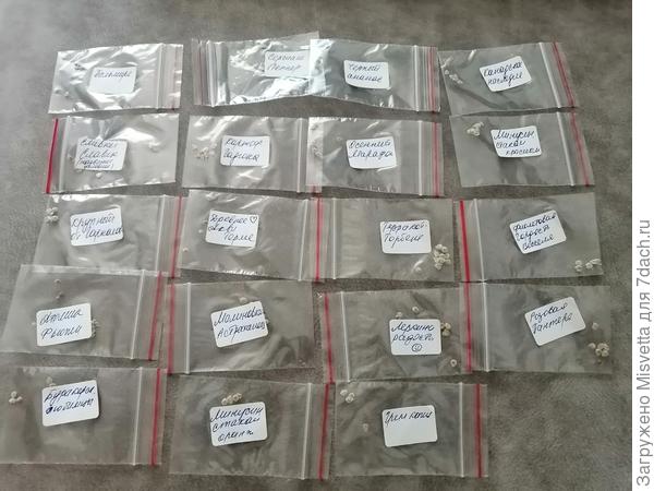 Моё богатство😍