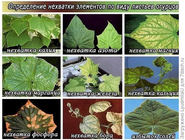 Чего не хватает?