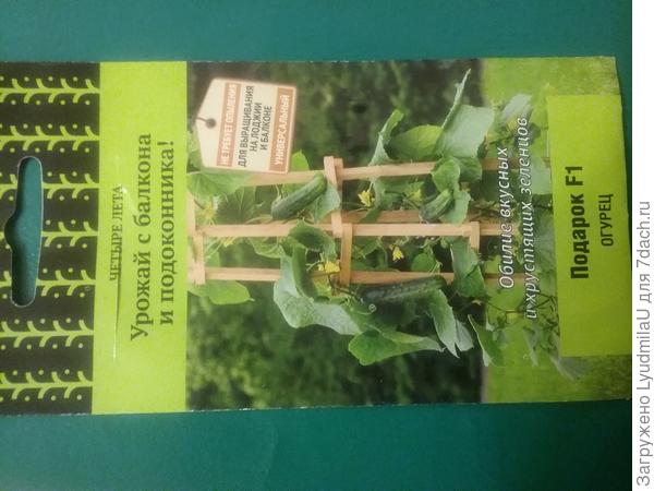 Семена огурца