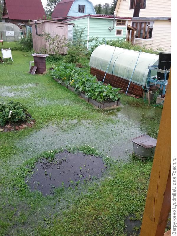 Лужи, дождь