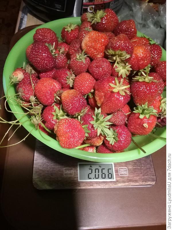 Отменный урожай