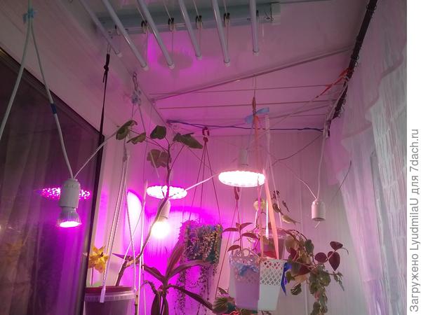 Вид на потолок