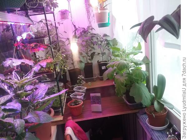 Мебельные щиты между подоконниками