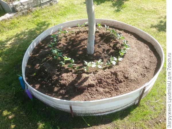 Использован сайдинг