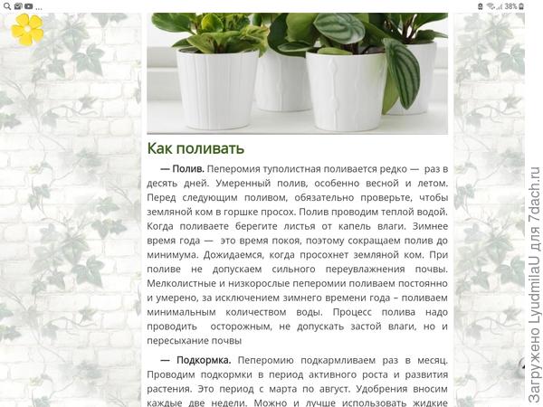 Гугл в помошь