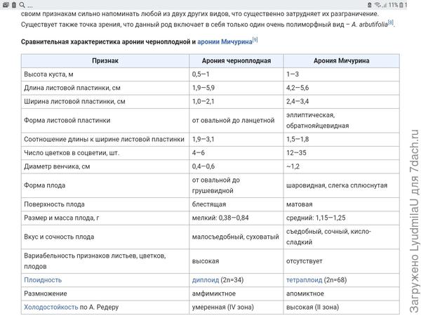 Форма зависит от сорта.