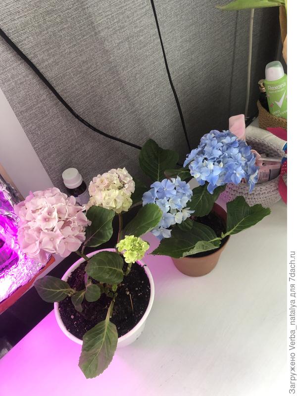 Вот в таком состоянии она сейчас