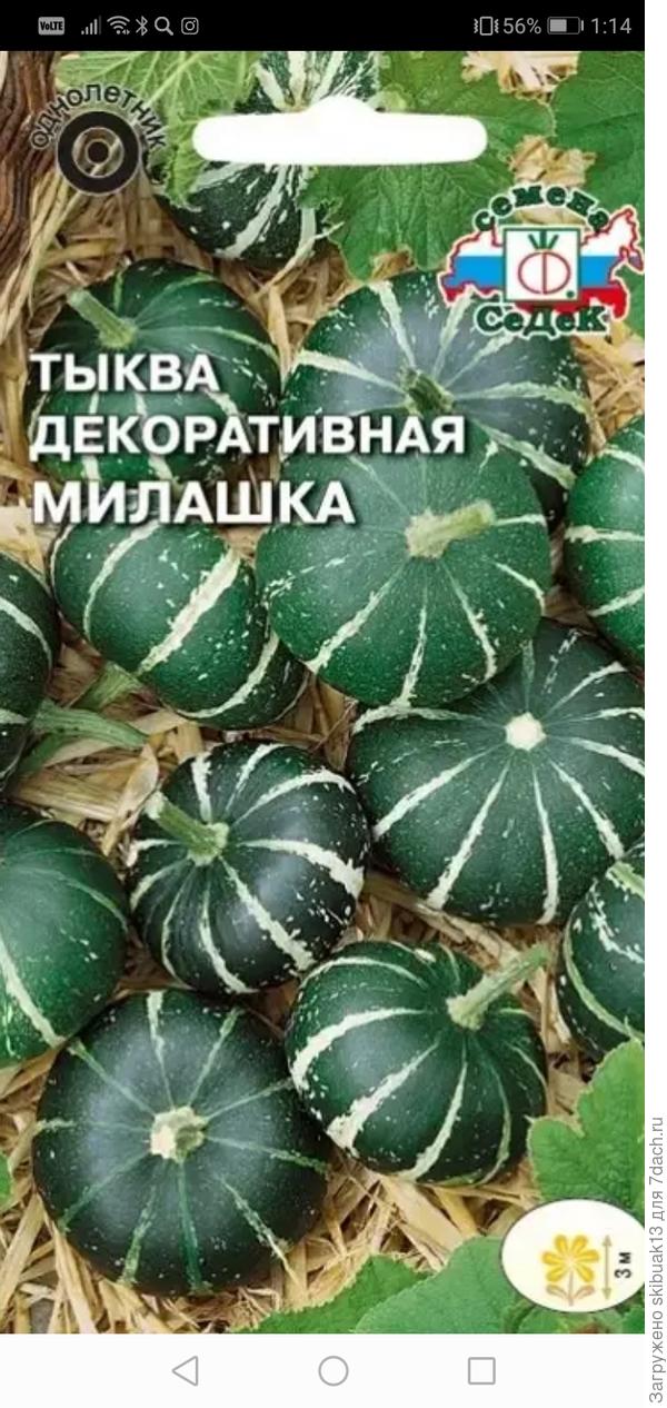 Купила все сорта