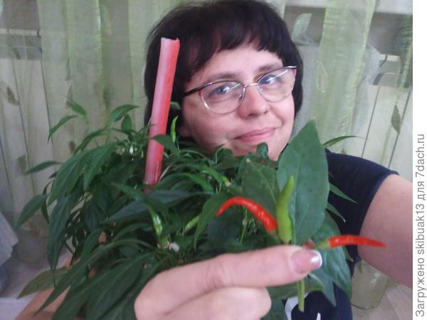 Оконно балконный не повёл, первые плоды февраля