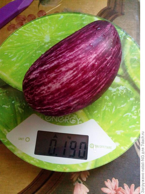 баклажан Полосатый бок