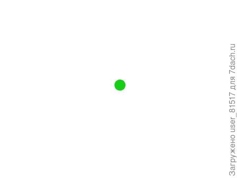 После моего лечения у груши на привитой ветке другого сорта стала чернеть листва. Это фото сделано 2 дня назад. А теперь уже все листья на этой прививка все чёрные и пожухли.