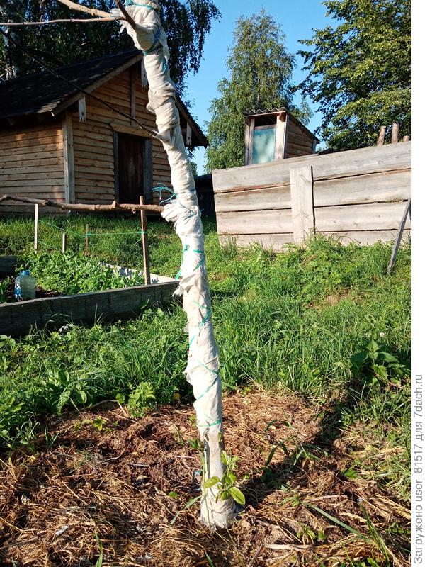 Вот. Полечила, как могла. Но я старалась.