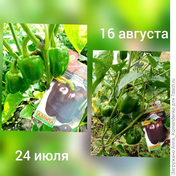 развитие