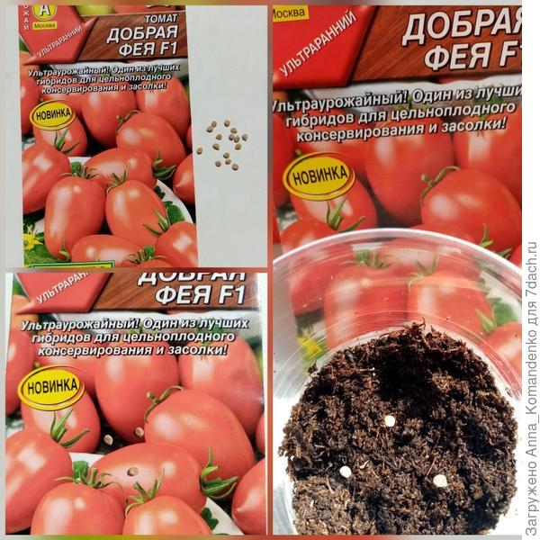Добрая фея
