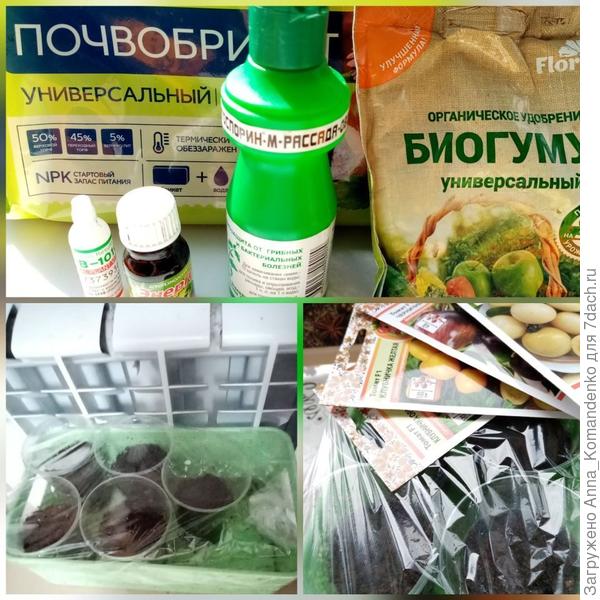 5 апреля
