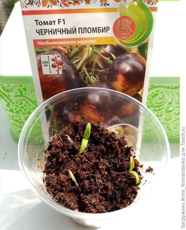 10 апреля