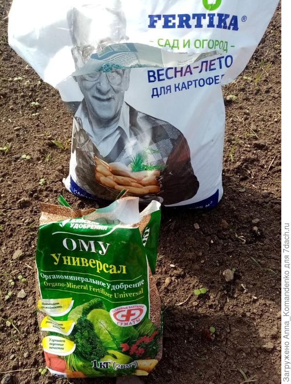 удобрения при высадке в ОГ