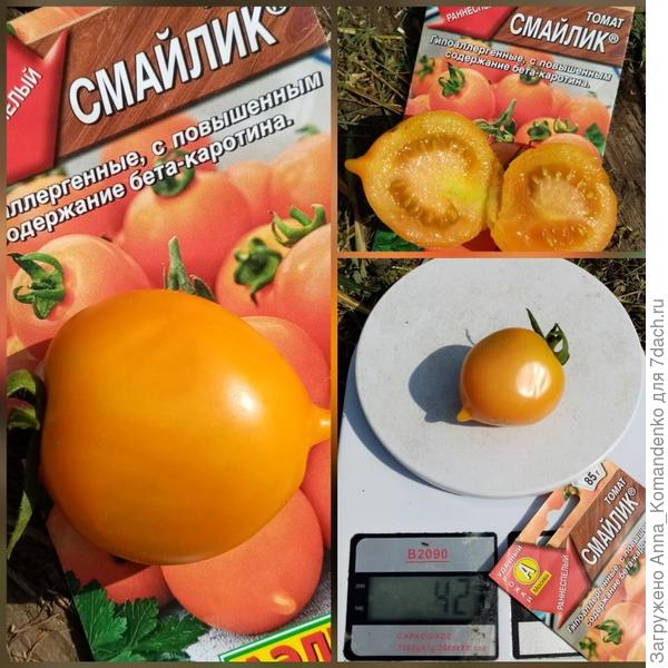 Первый!!!