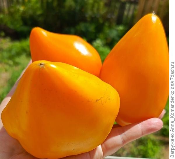 Ночная свеча