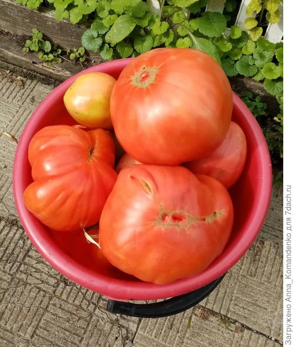 Верхние большие Мега Марв(очень вкусные)