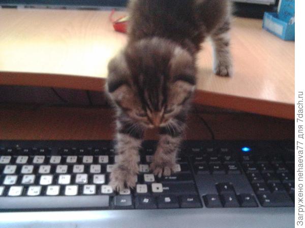 Не надо мне мешать, я общаюсь...