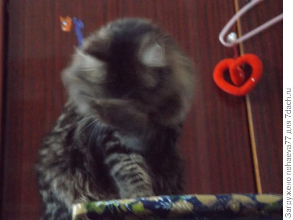 Боже мой.... на дворе 21 век, а им какую то мышь поймать надо...