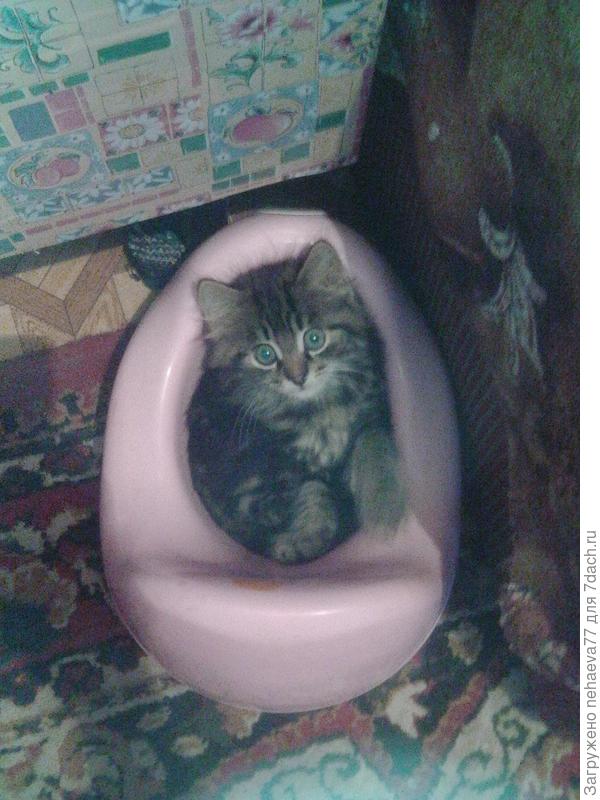 Не видишь что ли.... Занято!