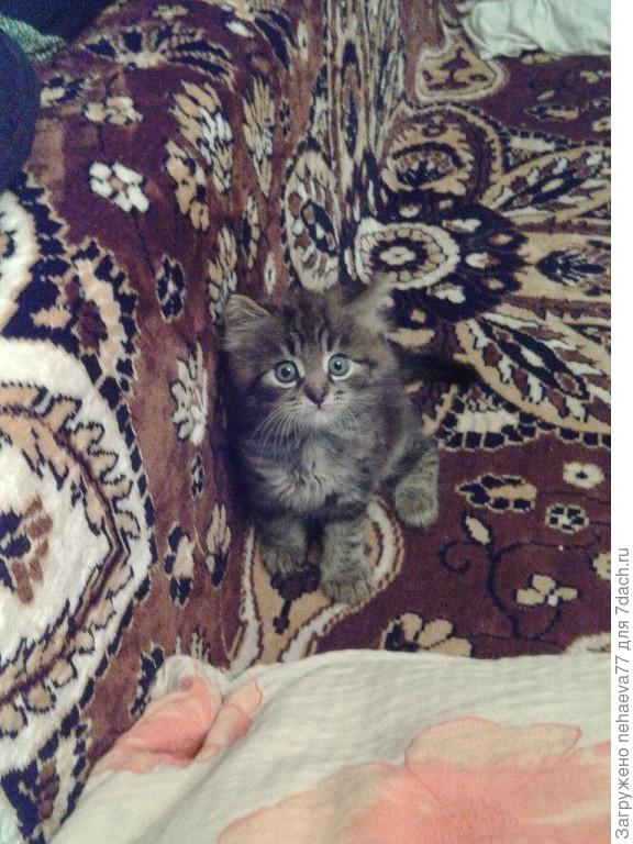 это он маленький совсем