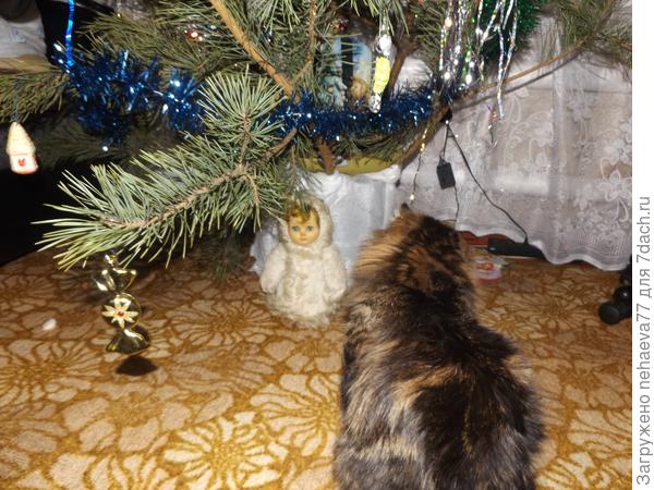 Первая ёлка