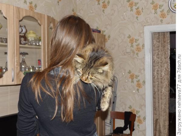 Ну  шикарна,  слов нет... а волосы то какие  шелковистые.. . Да все штабелями  попадают от твоей неотразимости...