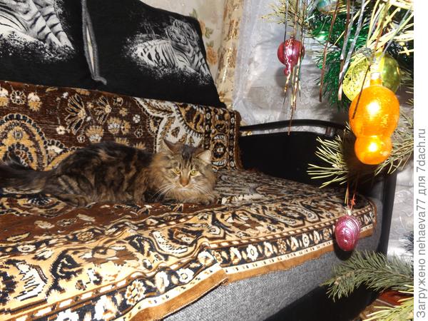 Не трогай игрушку, не трогай игрушку.  Да я   их все  сейчас поснимаю...понавесили тут