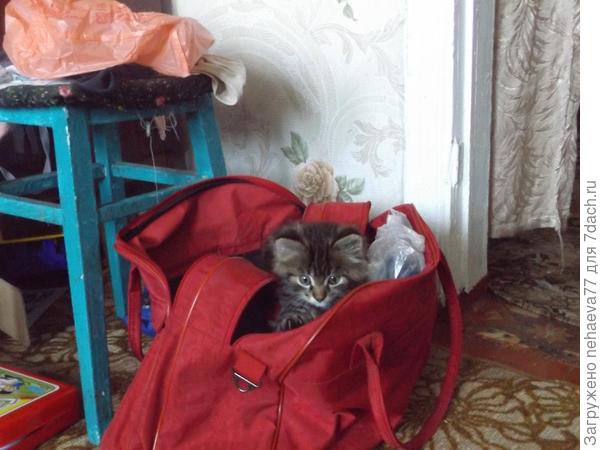 НУ.. скоро вы там? Самое необходимое уже в сумке.
