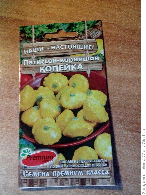 патиссончики. ещё рано сеять,мне так кажется