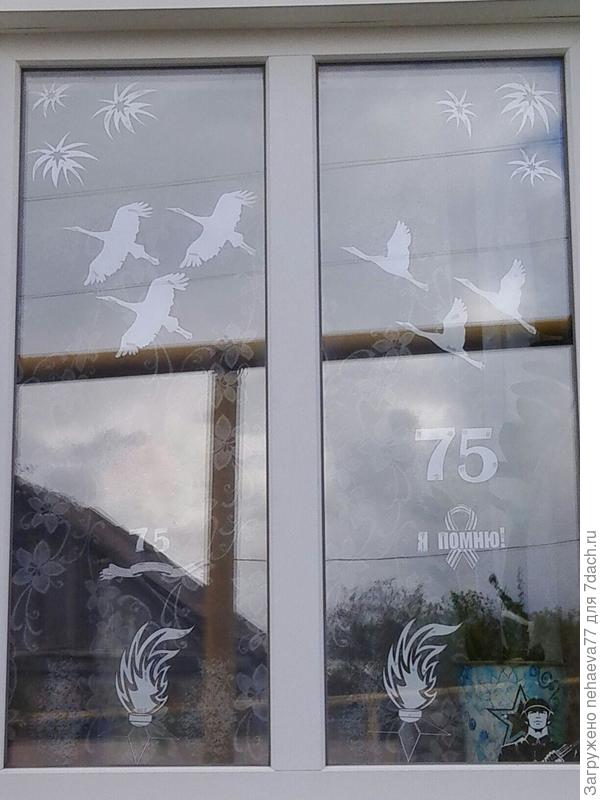 Окна Победы!