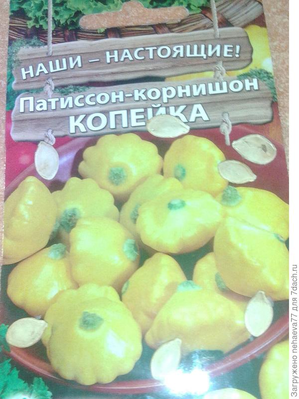 Патиссон -корнишон"Копейка".