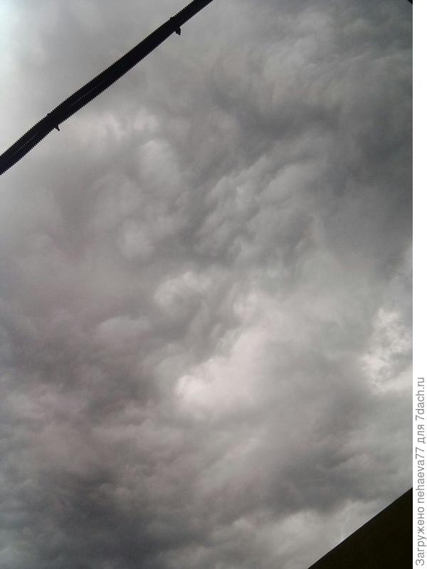 Вчера, 20 июня, небо уж сильно грозное было.