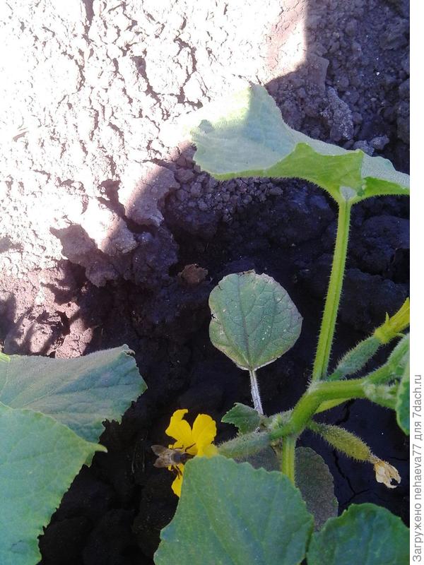 всем своим видом радует глаз