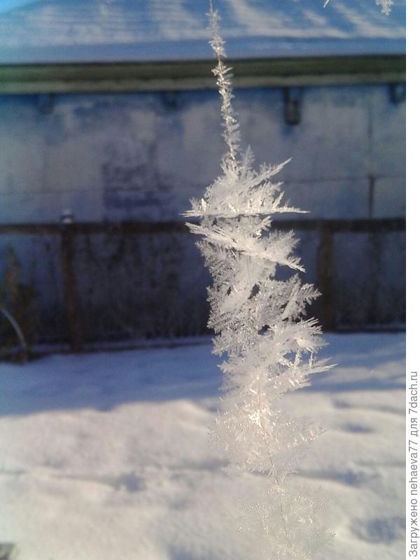снежинки