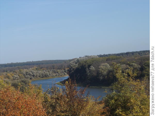Дон осенью