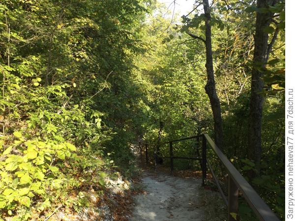 У нас тропинка от  храма немного другая