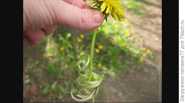 Фото из инета,не моё..