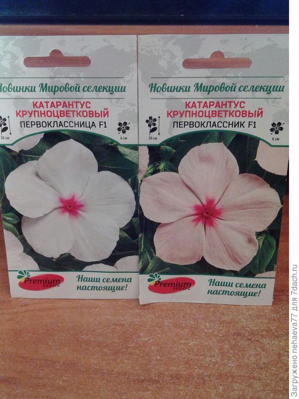 какие интересные названия