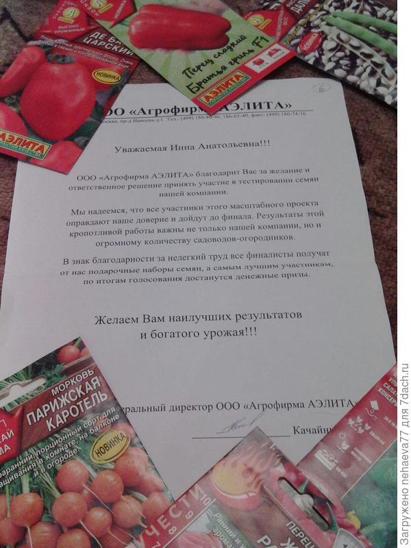 приятное письмо-напутствие